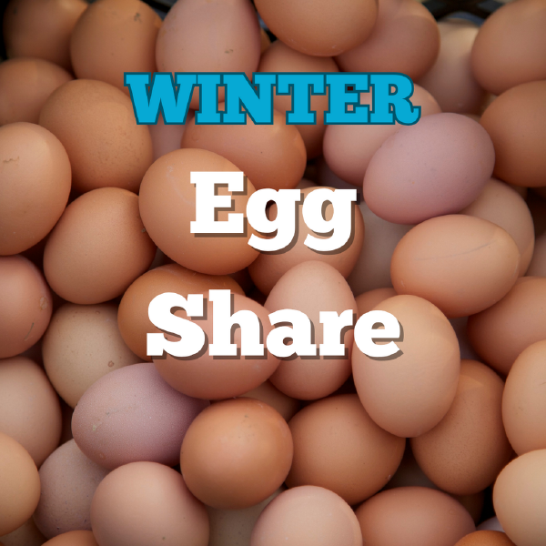 WINTER Egg Share