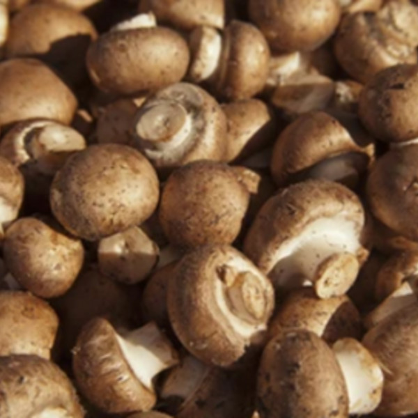 Mushrooms, Crimini