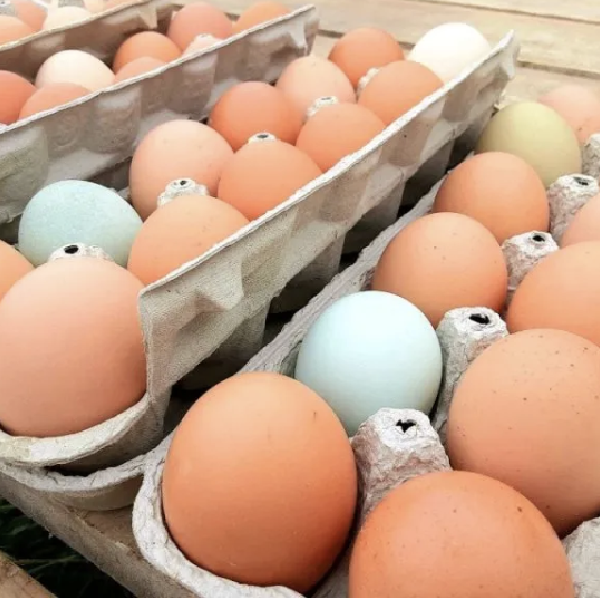 2026 Autumn CSA 10 Wk Egg Add-On - Total $80