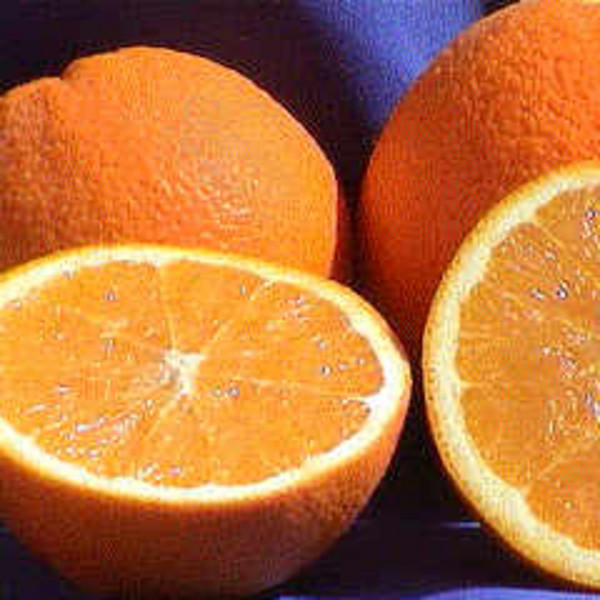 Navel Oranges