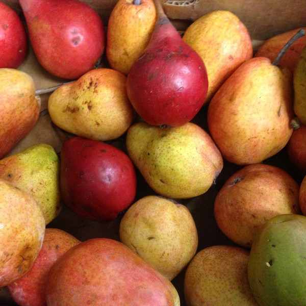 Pears