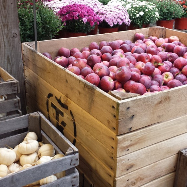 Apples, 4qt (1/2 peck)