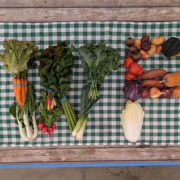 Walker Farm Fall/Winter CSA 26/27
