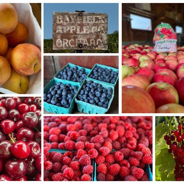 2025 Bayfield Fruit Share