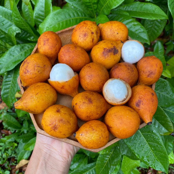 Achacha (Achachairú)