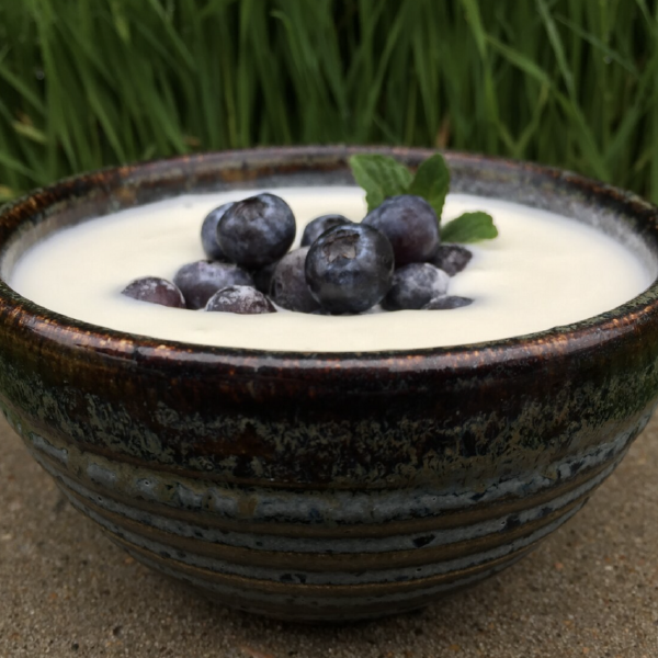 Greek Style Yoghurt