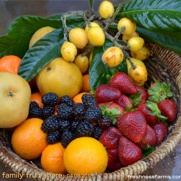 Family Fruit Share