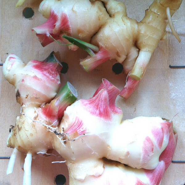 Certified Organic Hawaiian Ginger
