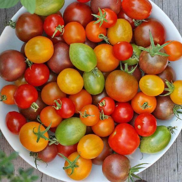 Cherry Tomatoes