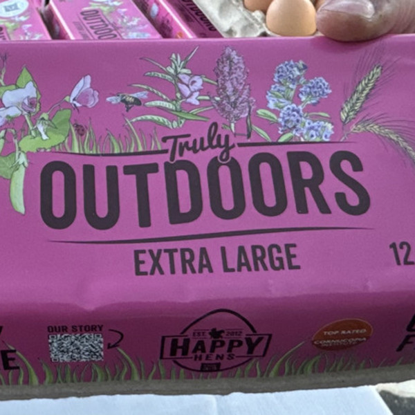 Organic Eggs
