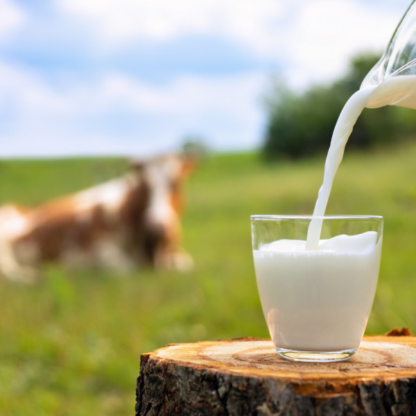 Milk Subscriptions