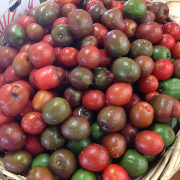 June Plum *Pre-Order*