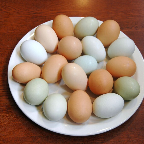 Eggs - Chicken & Duck