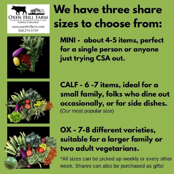 one time veggie box