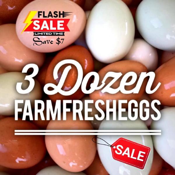 3 Dozen Farm Fresh Eggs “Egg CA Prop 12 Compliant”