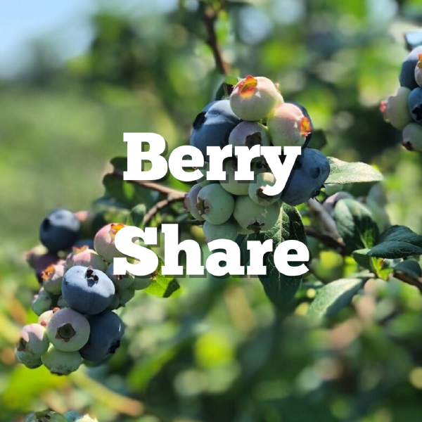 2026 Berry Share (8 weeks)
