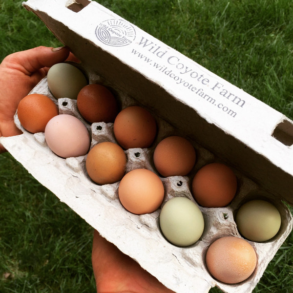 2025 Organic Egg Share
