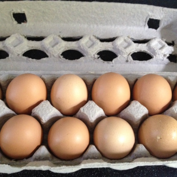 Kepner Farms, Free Range Eggs