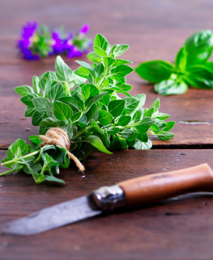 Oregano, Fresh
