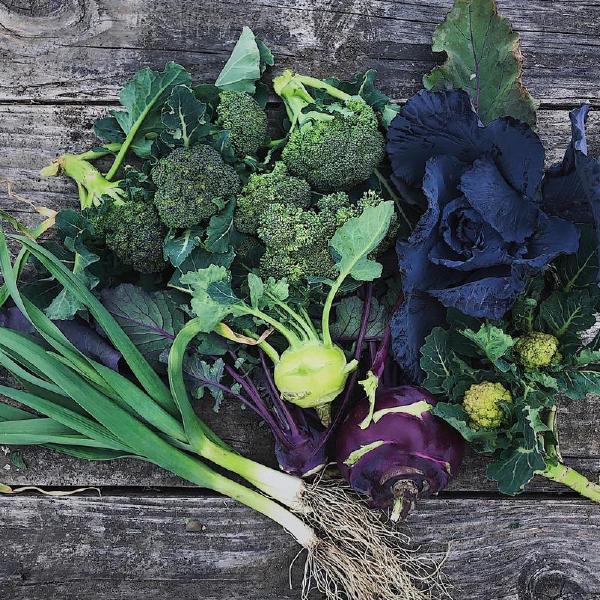 Vegetable Share - 52 weeks - 2025/2026