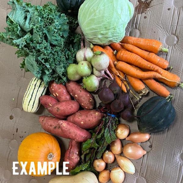 Autumn Veggie Share 2025