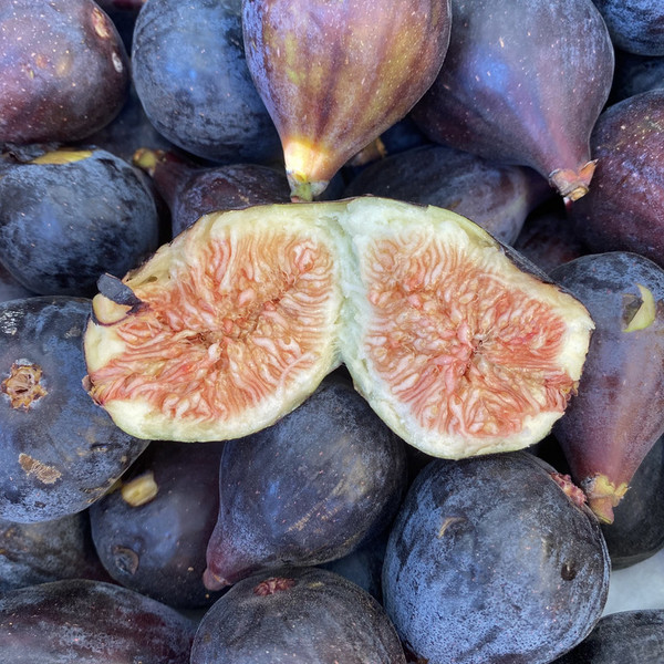 Fresh Figs