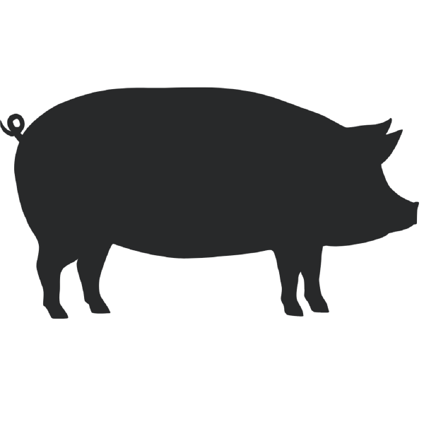Scrapple, Grillers, Stafford Pork
