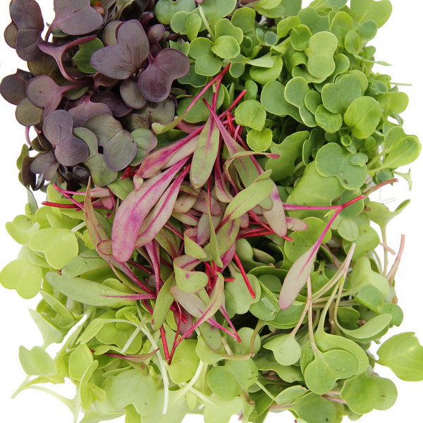 Microgreens