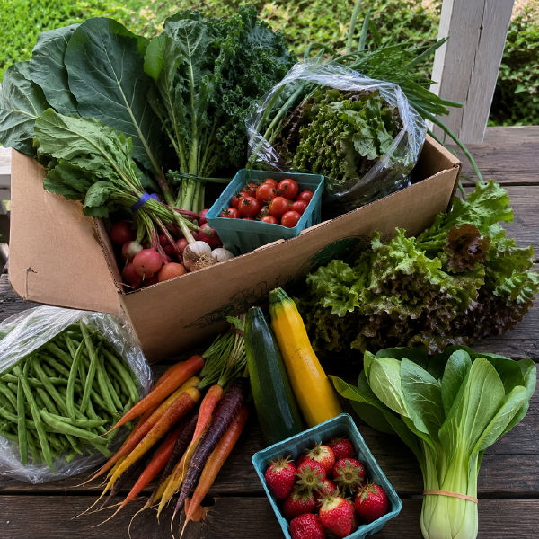 Produce Subscription- Fall/Winter 26-27
