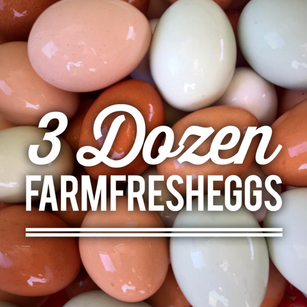 3 Dozen Farm Fresh Eggs “Egg CA Prop 12 Compliant”
