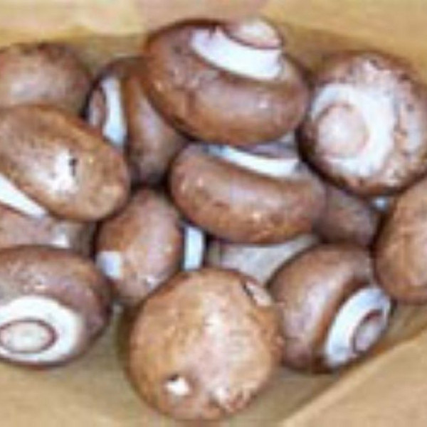 Late Fall Cremini Mushroom Share