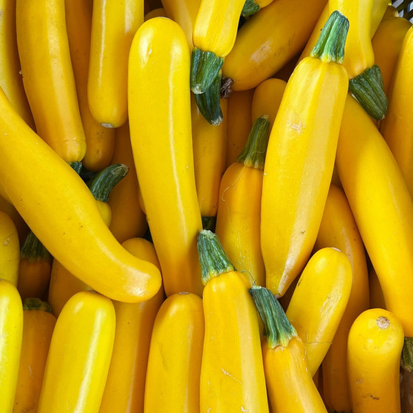 Goldbar Squash