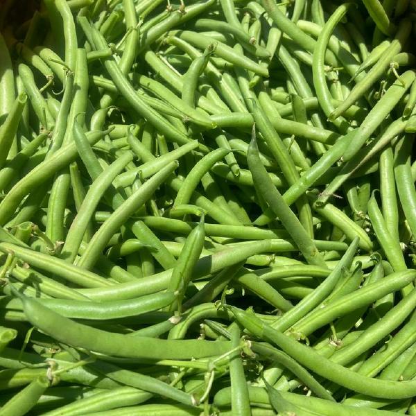 Green Beans