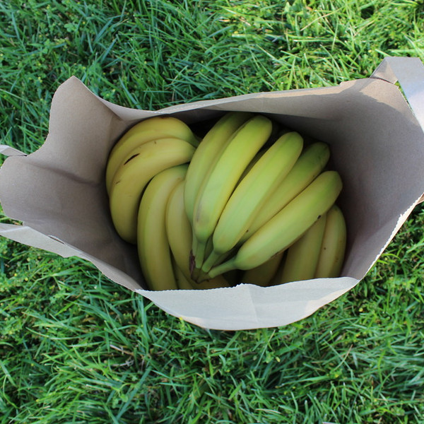 Bananas