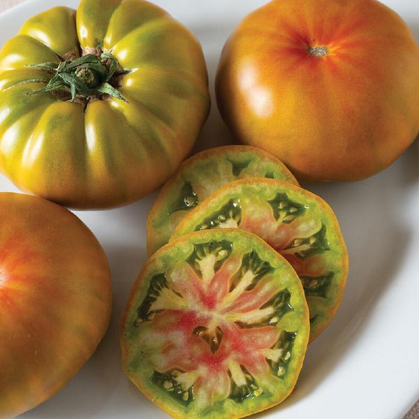 Woodstock Tomato