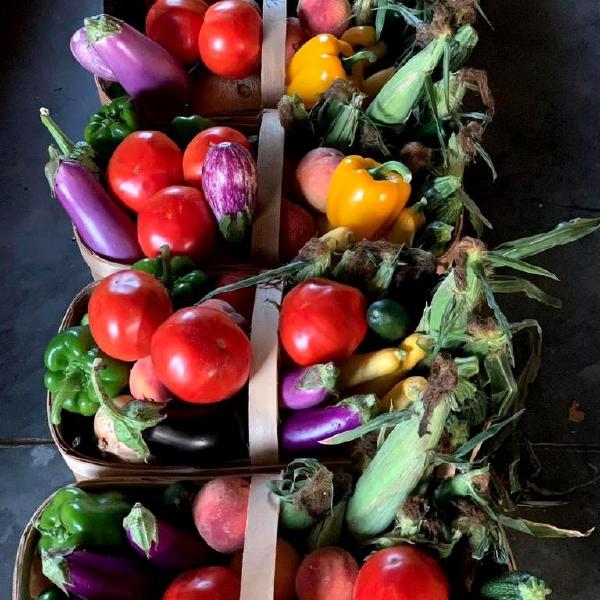 Bi-Weekly Produce Basket
