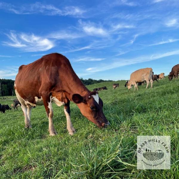 Raw Milk Herd Share from Grass Hills Farm