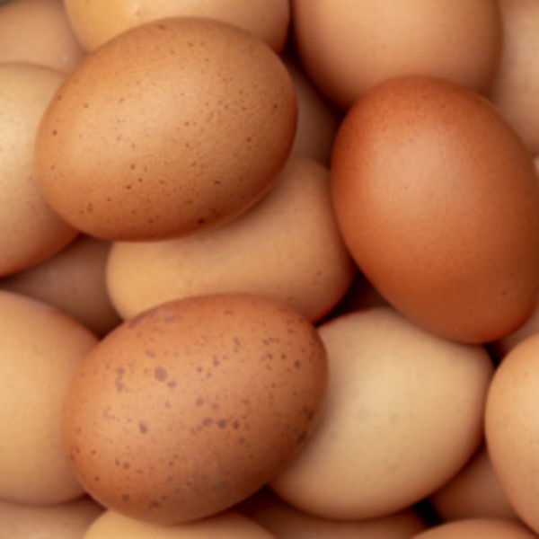 Eggs, Flying Plow Farm