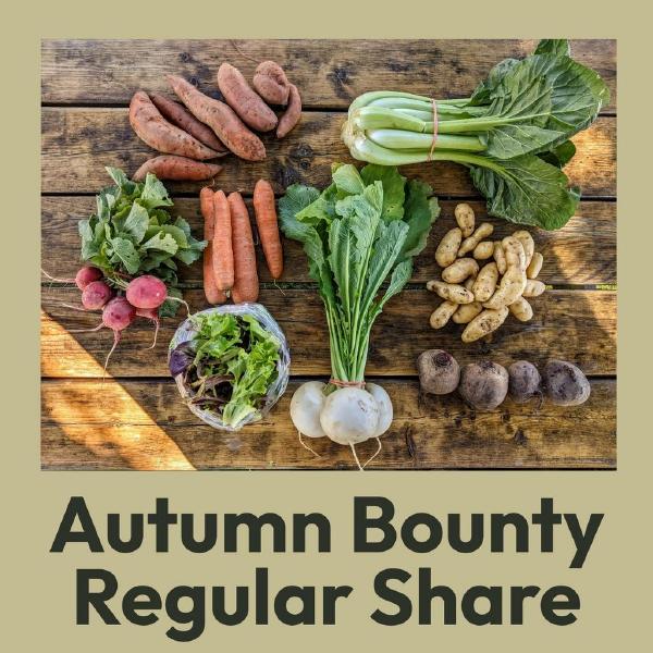 2026 Autumn Bounty Regular Share