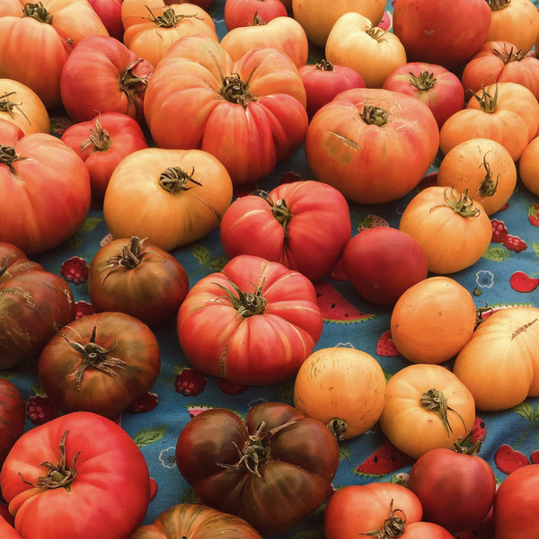 Heirloom Tomatoes
