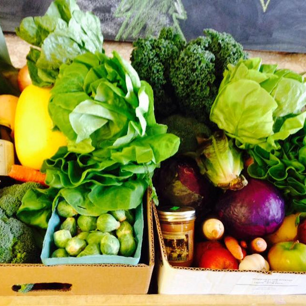 Large Produce Share