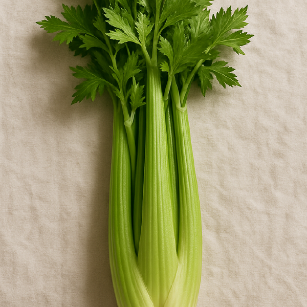 Celery