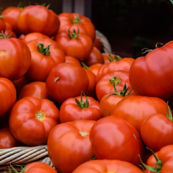 Canning Tomatoes