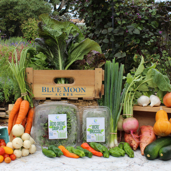 Blue Moon Box Subscription