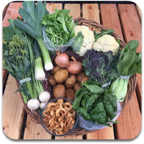 2025 Spring CSA April 9 - June 25