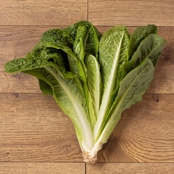 Lettuce