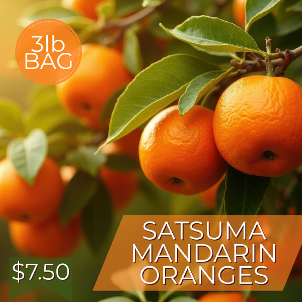 Satsuma Mandarin Oranges (3lb Bag)