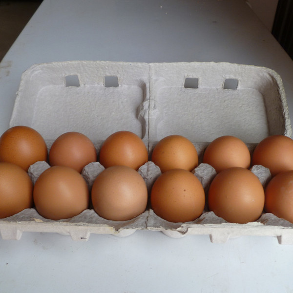 2025 Egg Share