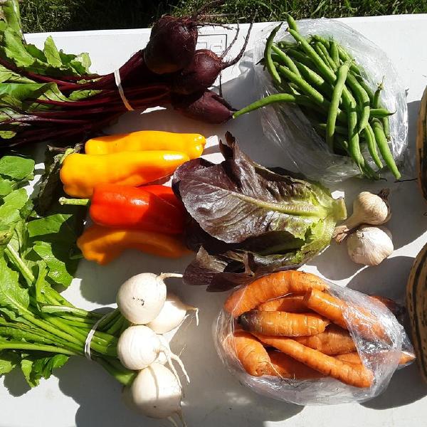 Full Farm Box Fall/Winter 25