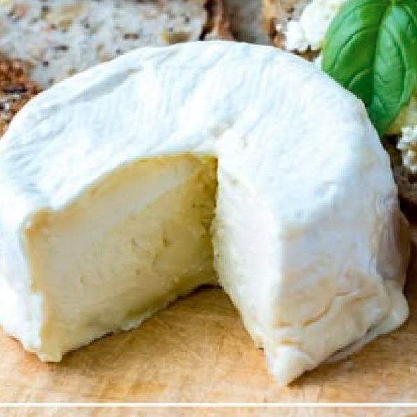 Camambert-Style Cheese: Frost Gully - by Winter Hill Farm